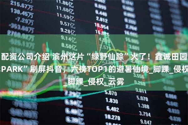 配资公司介绍 滨州这片“绿野仙踪”火了！鑫诚田园“上岸PARK”刷屏抖音，六榜TOP1的避暑仙境_脚踝_侵权_云雾