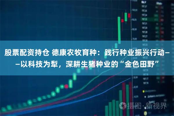 股票配资持仓 德康农牧育种：践行种业振兴行动——以科技为犁，深耕生猪种业的“金色田野”