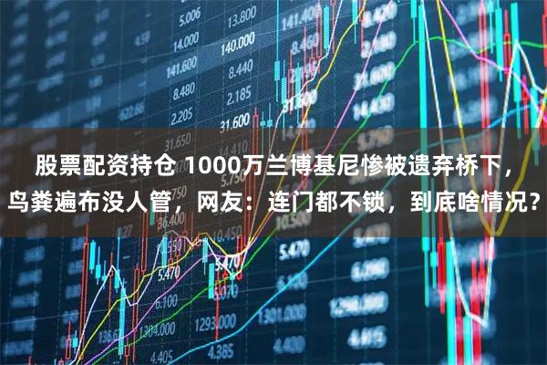 股票配资持仓 1000万兰博基尼惨被遗弃桥下，鸟粪遍布没人管，网友：连门都不锁，到底啥情况？