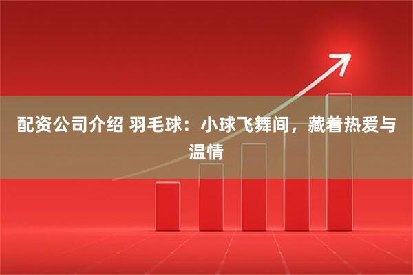 配资公司介绍 羽毛球：小球飞舞间，藏着热爱与温情